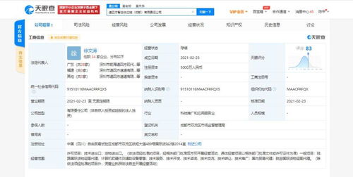 計(jì)算機(jī)軟硬件及輔助設(shè)備零售 數(shù)字時(shí)代的商業(yè)基石